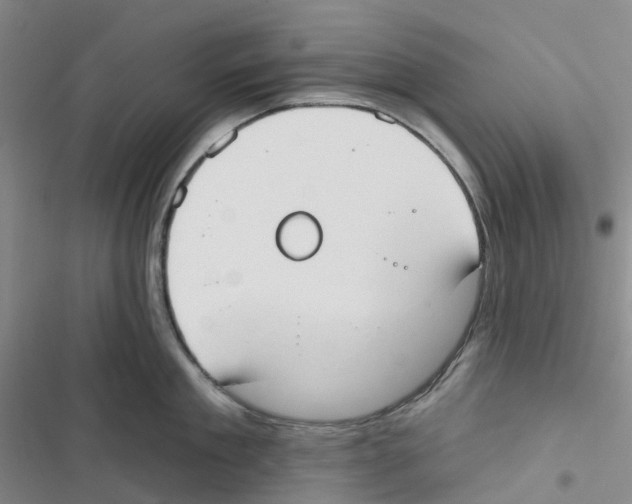 X0000116830909201001151223