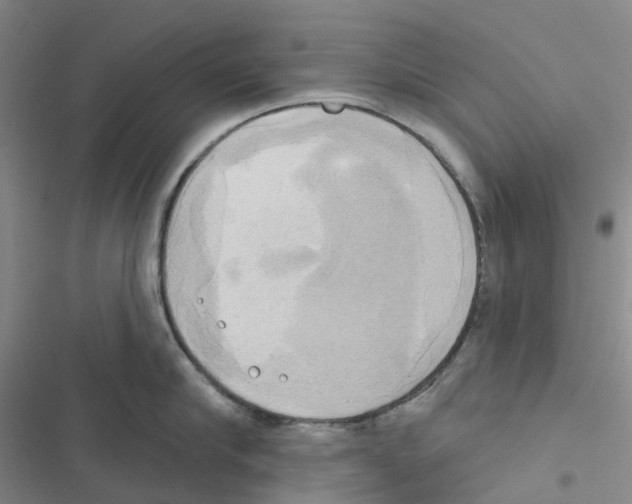 X0000116830910201001151223