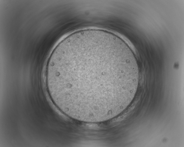 X0000116830911201001151223