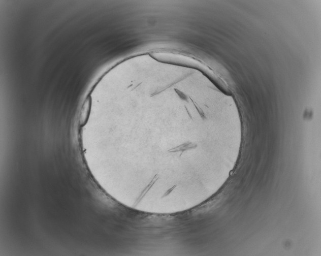 X0000116830912201001151223