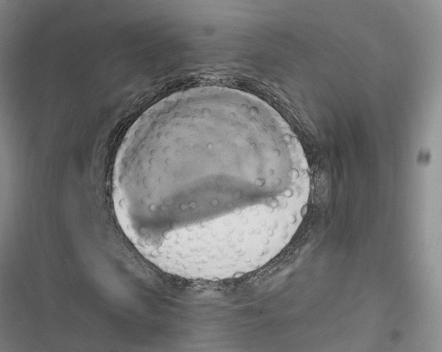 X0000116830913201001151223