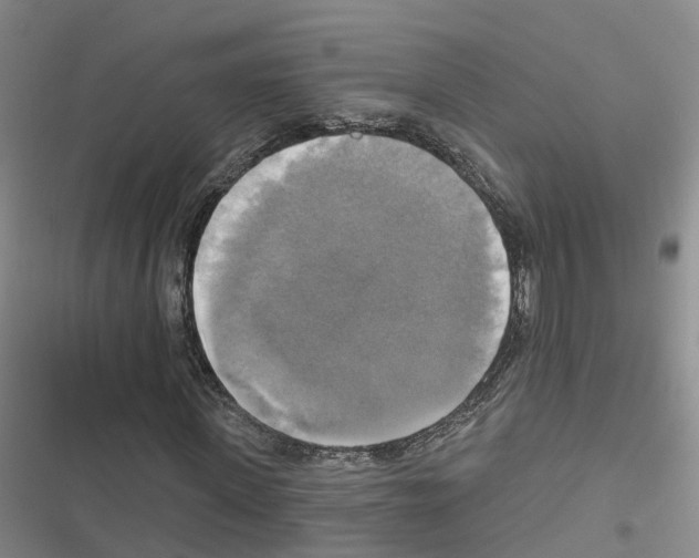 X0000116830915201001151223