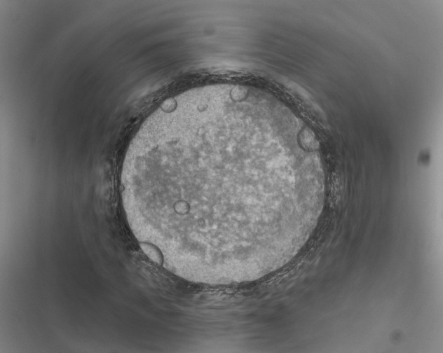 X0000116830917201001151223