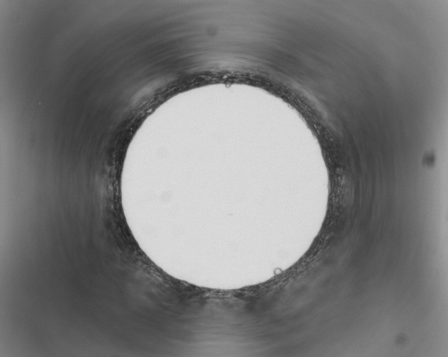 X0000116830918201001151223