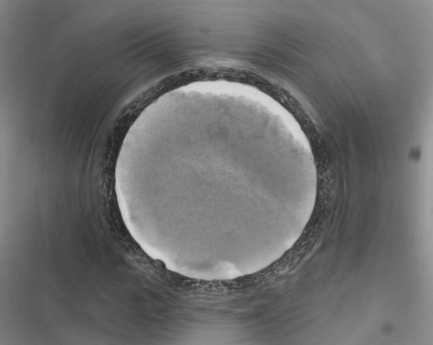 X0000116830919201001151223