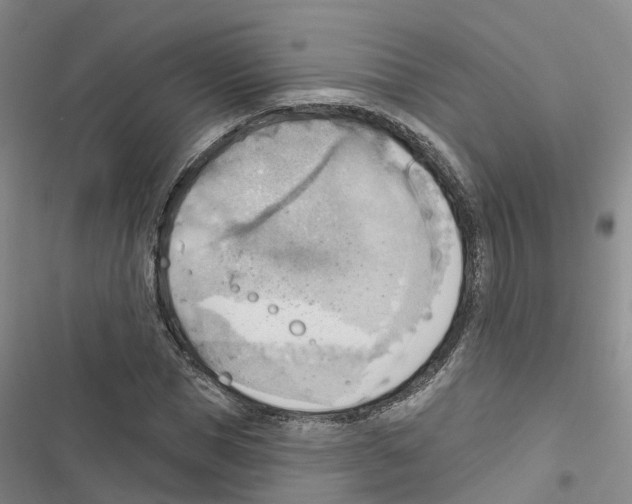 X0000116830921201001151223