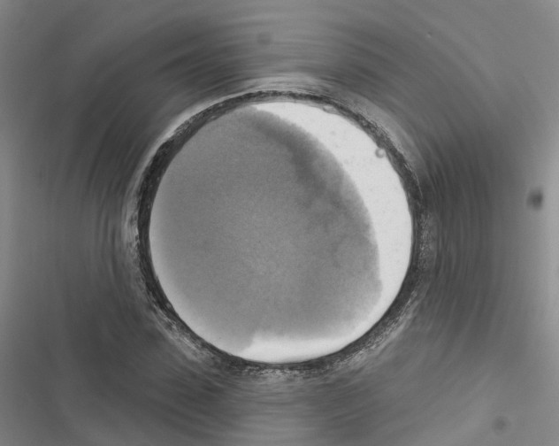 X0000116830923201001151223