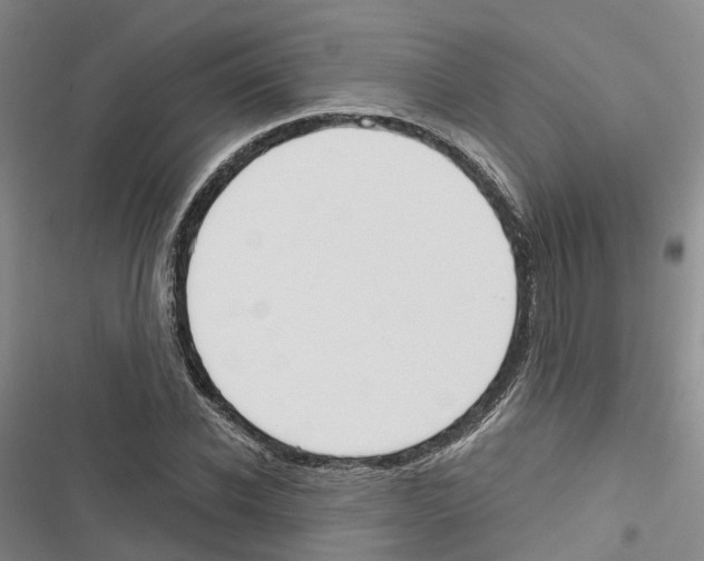 X0000116830926201001151223