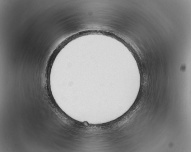 X0000116830927201001151223