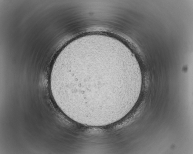 X0000116830929201001151223