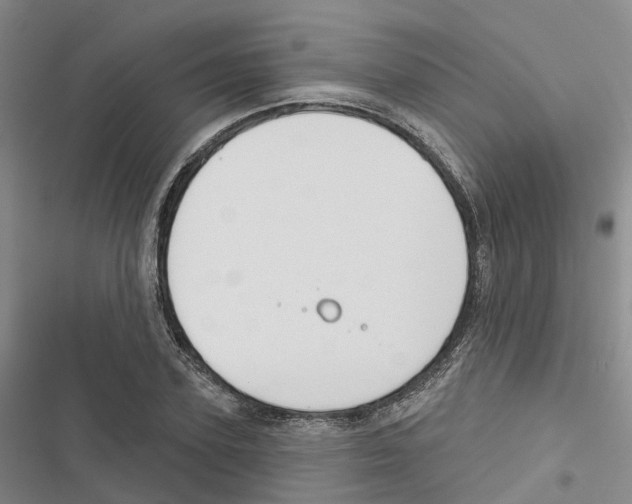 X0000116830931201001151223