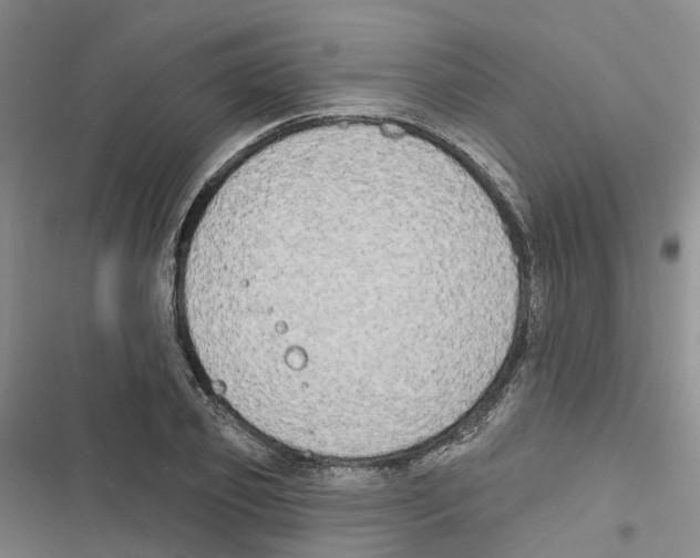 X0000116830933201001151223