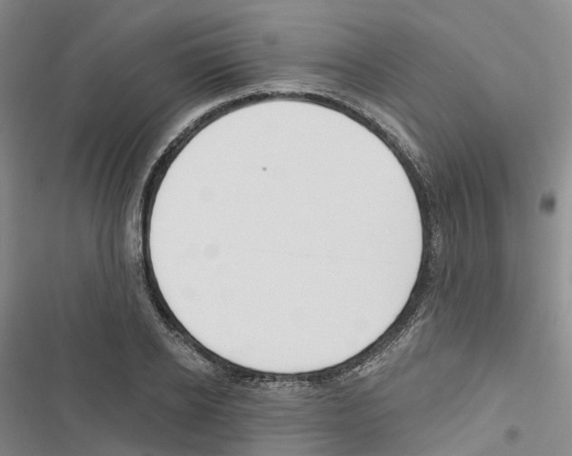 X0000116830934201001151223