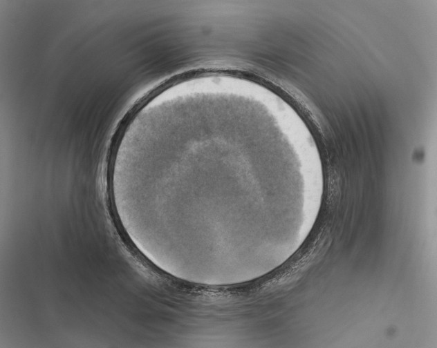 X0000116830935201001151223