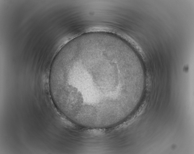 X0000116830937201001151223