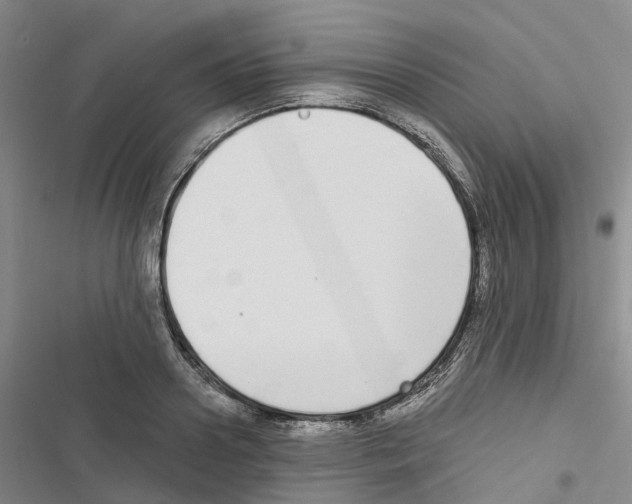 X0000116830938201001151223