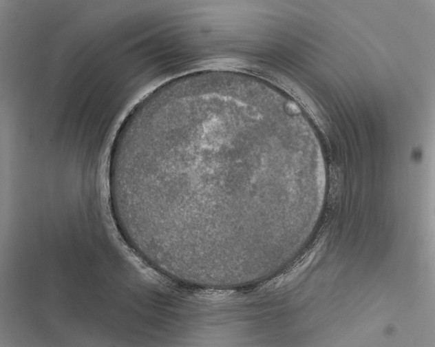 X0000116830939201001151223