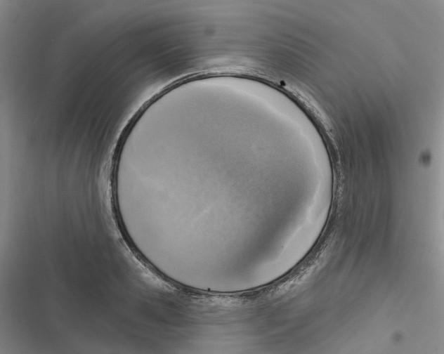 X0000116830941201001151223