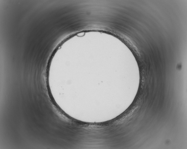 X0000116830942201001151223