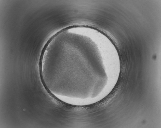 X0000116830943201001151223