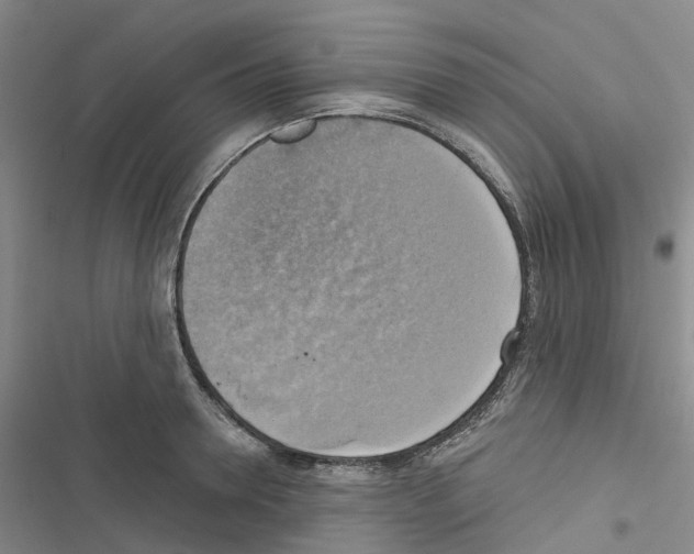 X0000116830946201001151223