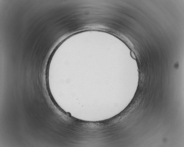 X0000116830947201001151223