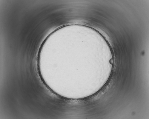 X0000116830949201001151223