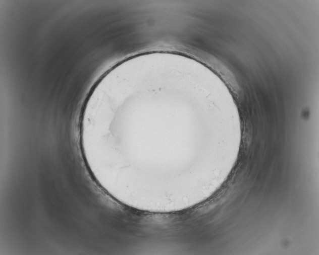 X0000116830950201001151223