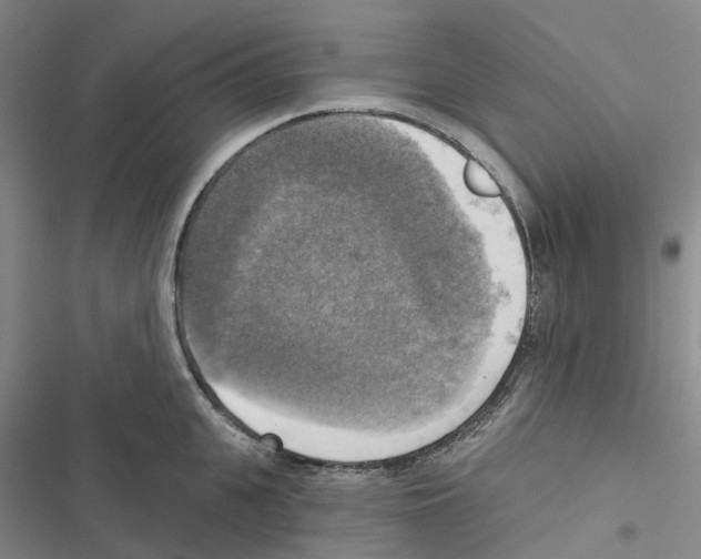 X0000116830951201001151223