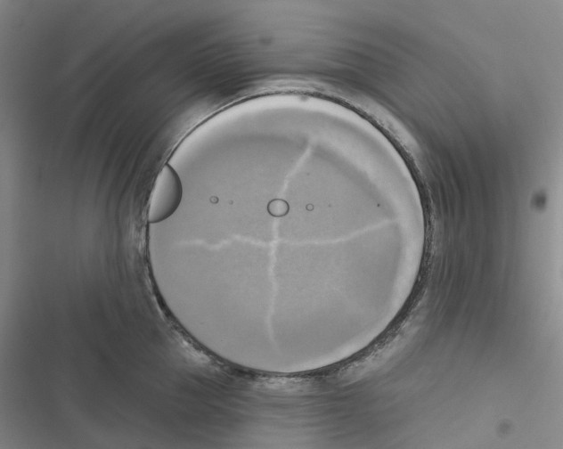 X0000116830953201001151223