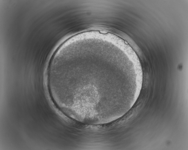 X0000116830955201001151223