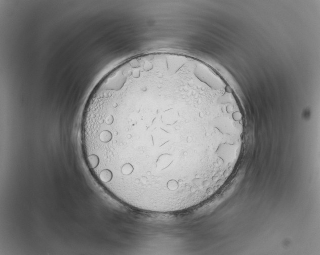 X0000116830957201001151223