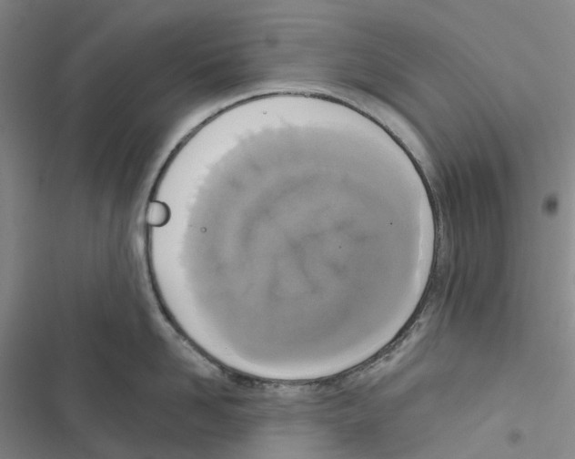 X0000116830958201001151223