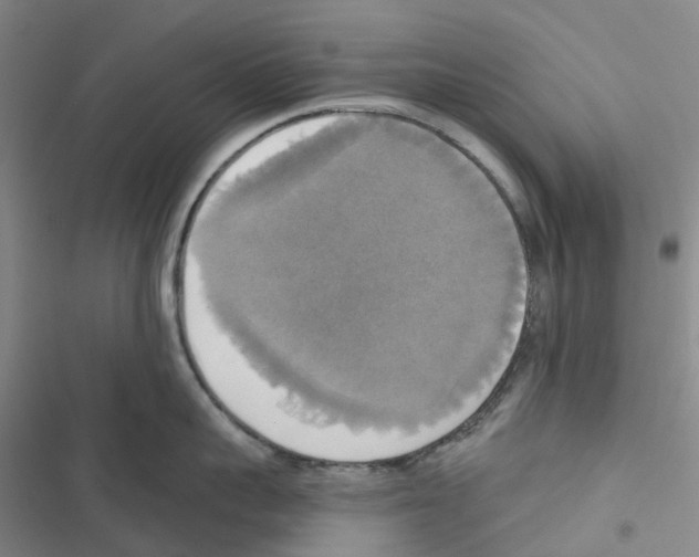 X0000116830959201001151223