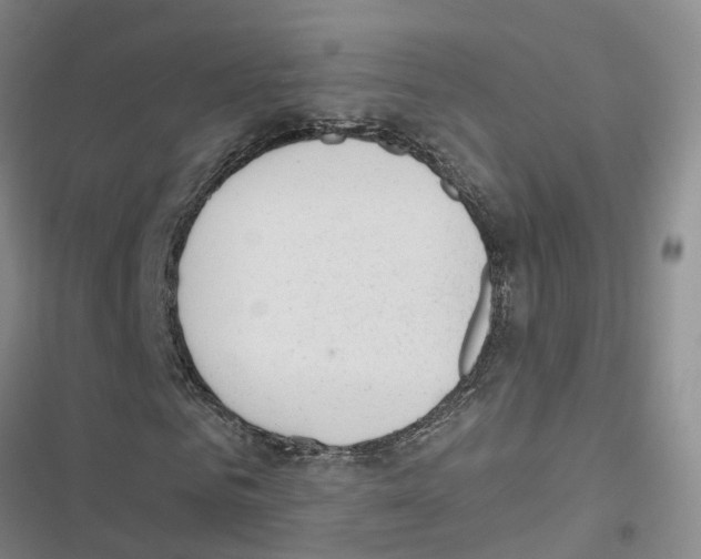 X0000116830961201001151223