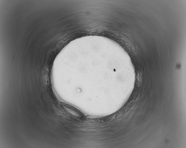 X0000116830963201001151223