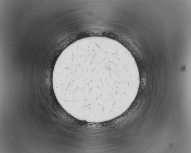 X0000116830964201001151223