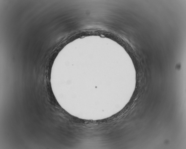 X0000116830965201001151223