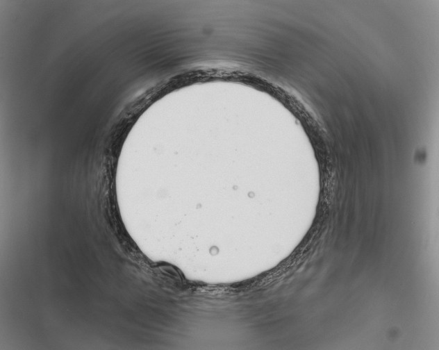 X0000116830967201001151223