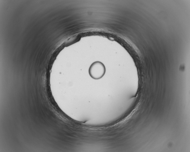 X0000116830969201001151223