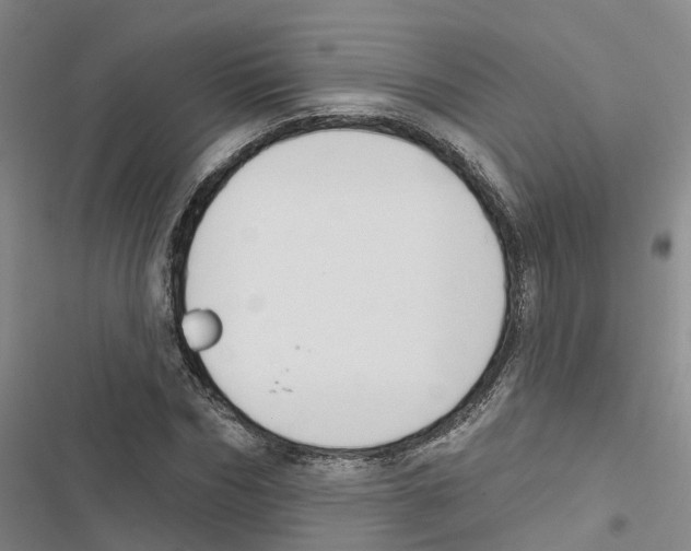 X0000116830970201001151223