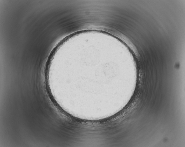 X0000116830972201001151223