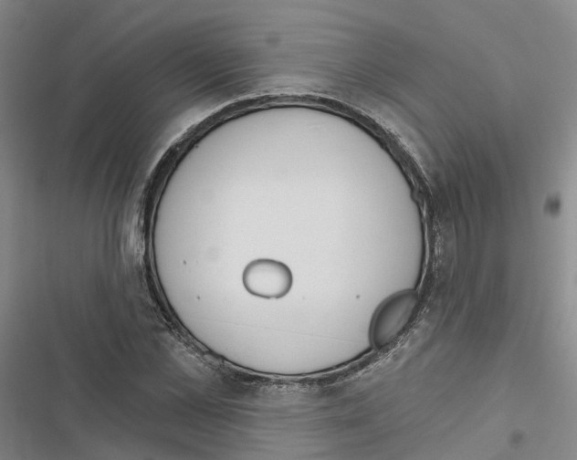 X0000116830973201001151223