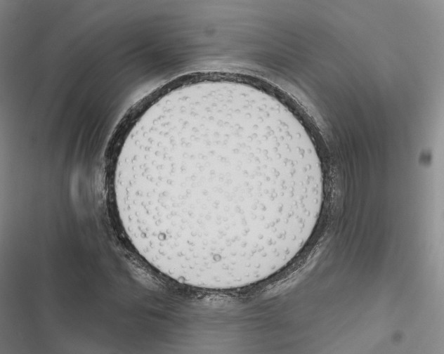 X0000116830974201001151223