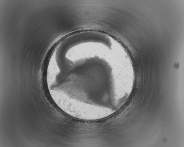 X0000116830975201001151223