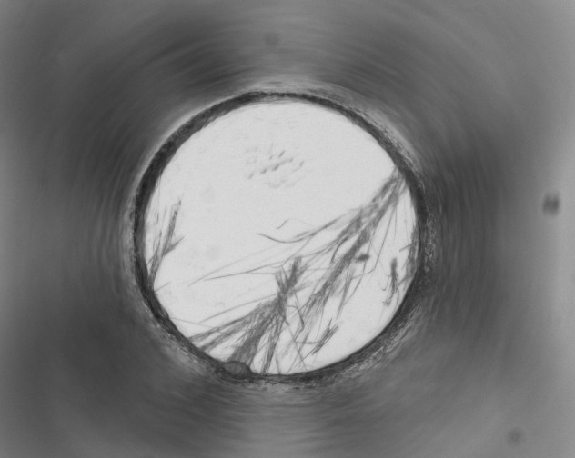 X0000116830976201001151223