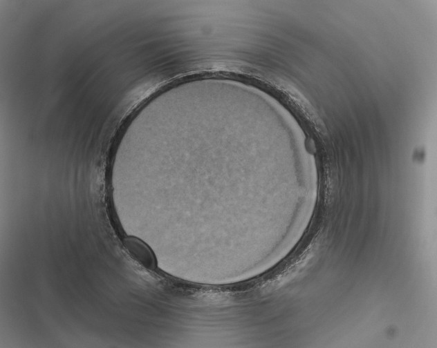 X0000116830977201001151223