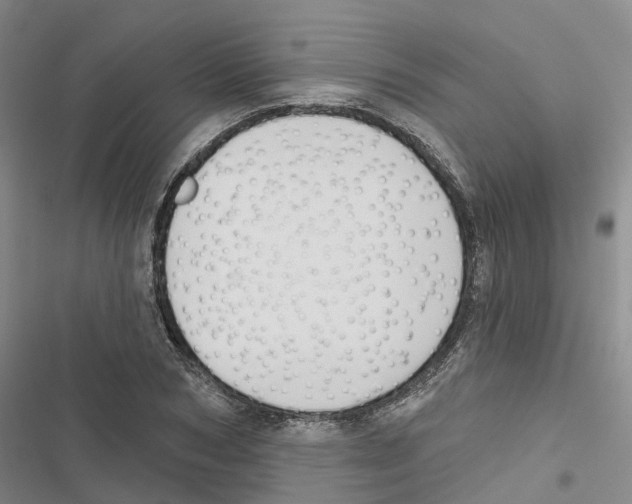 X0000116830978201001151223