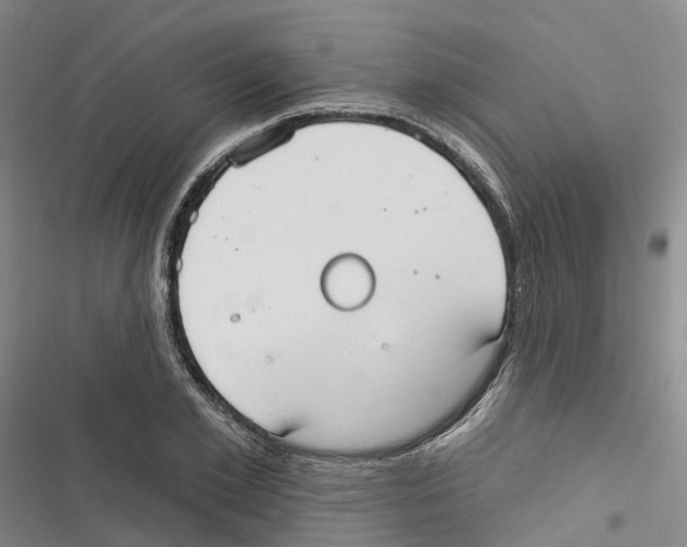 X0000116830981201001151223