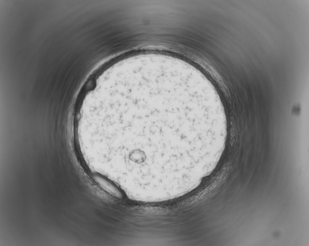 X0000116830984201001151222